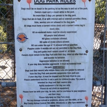 Zollie Young Dog Park photo 2